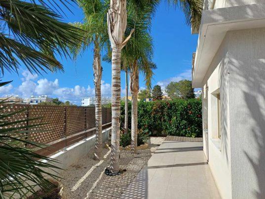King'S Holiday Apartments Paphos Exterior photo